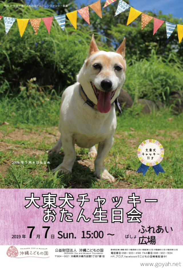 動物園バースデー7月 大東犬チャッキー 沖縄イベント情報