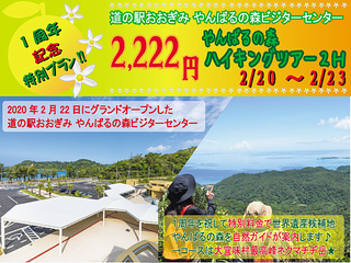 やんばるの森ビジターセンター１周年記念『2222円ハイキングツアー』