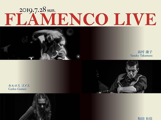 FLAMENCO LIVE