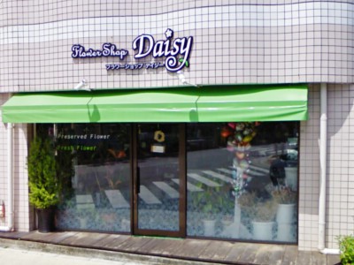 Flower Shop Daisy