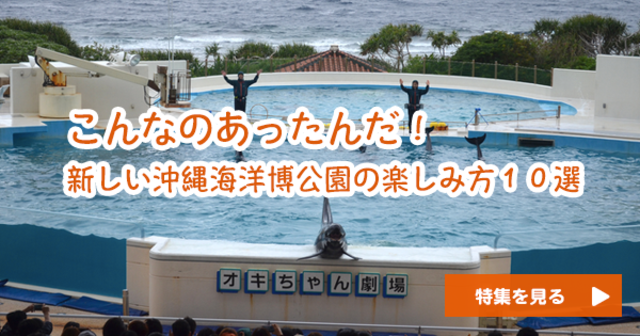 【無料】こんなのあったんだ！から定番まで。新しい沖縄海洋博公園の楽しみ方１０選
