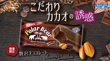 【数量限定】ポーラベアー贅沢チョコレート ～こだわりカカオの誘惑～ 発売中💕