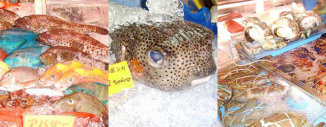 沖縄料理に使われる魚
