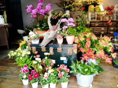 flower shop  自由空間