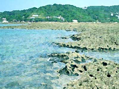 潮干狩り 沖縄 沖縄の潮干狩り。何が獲れるか。