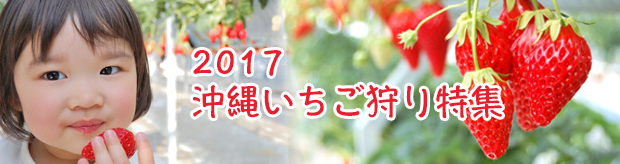 沖縄いちご狩り特集2017