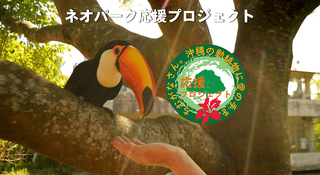 心から愛おしい沖縄の動植物に愛の手を｜ネオパーク応援プロジェクト