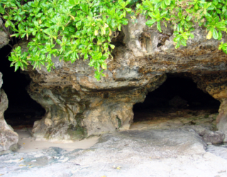 洞穴側