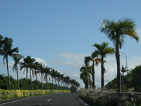 沖縄　高速道路情報