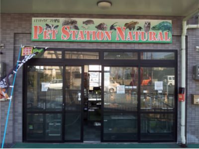 Pet Station Natural
